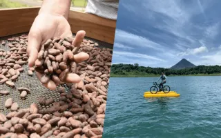 Fotografía de cacao y ciclismo en agua