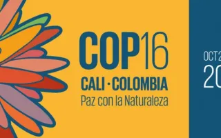 Infografía del evento