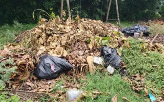Fotografía de basura con hojas