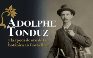 Afiche
