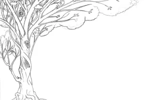 Dibujo