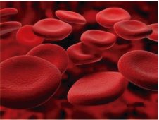 Expresión heteróloga, purificación y búsqueda de las condiciones de cristalización en procesos de coagulación sanguínea