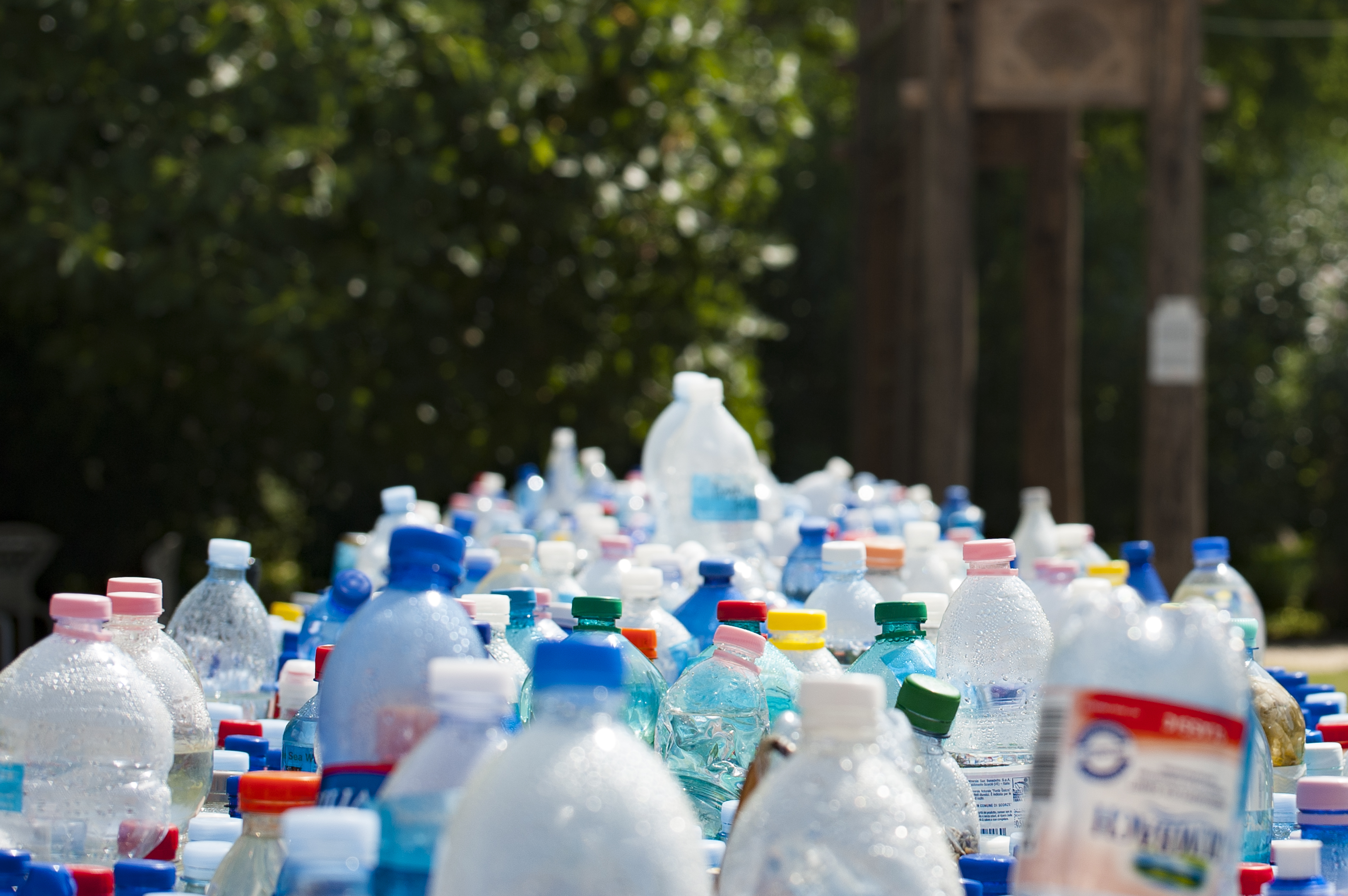 Botellas plásticas.