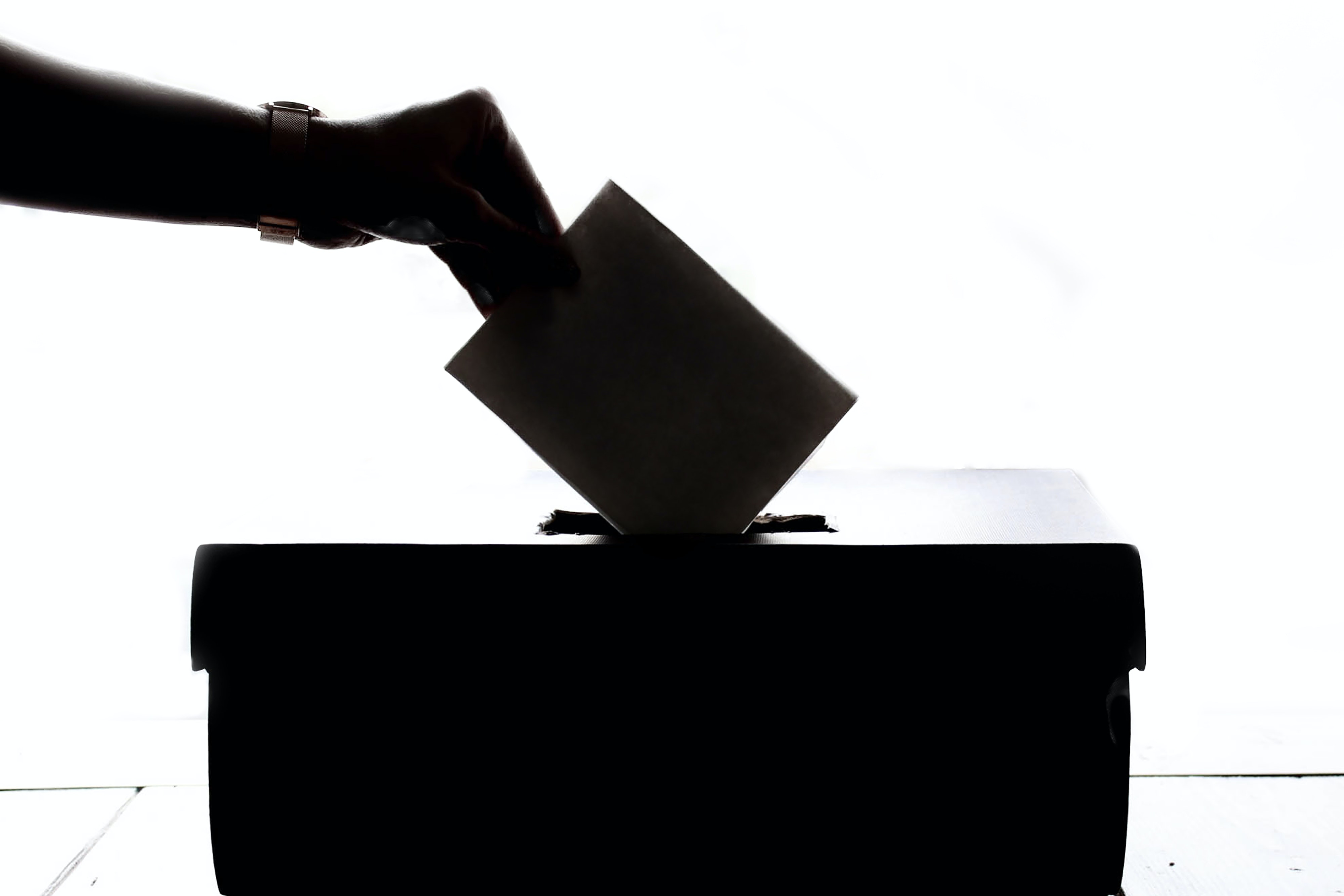 Figura de persona emitiendo voto