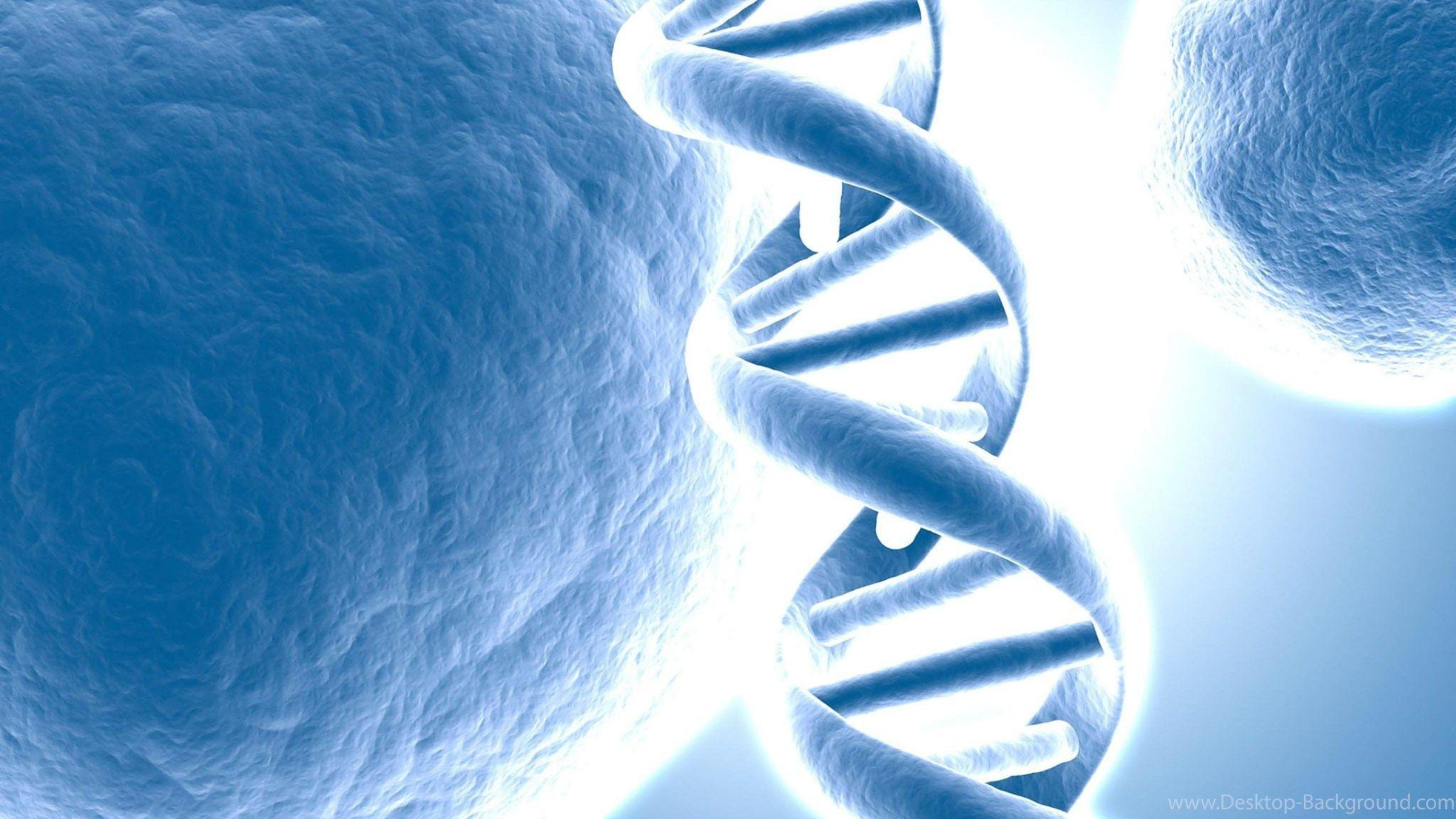 Simulación de ADN