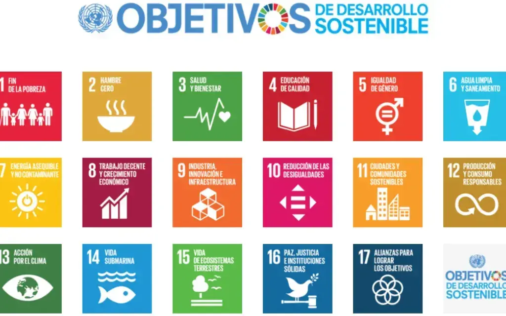 imagen con los diferentes objetivos de desarrollo sostenible