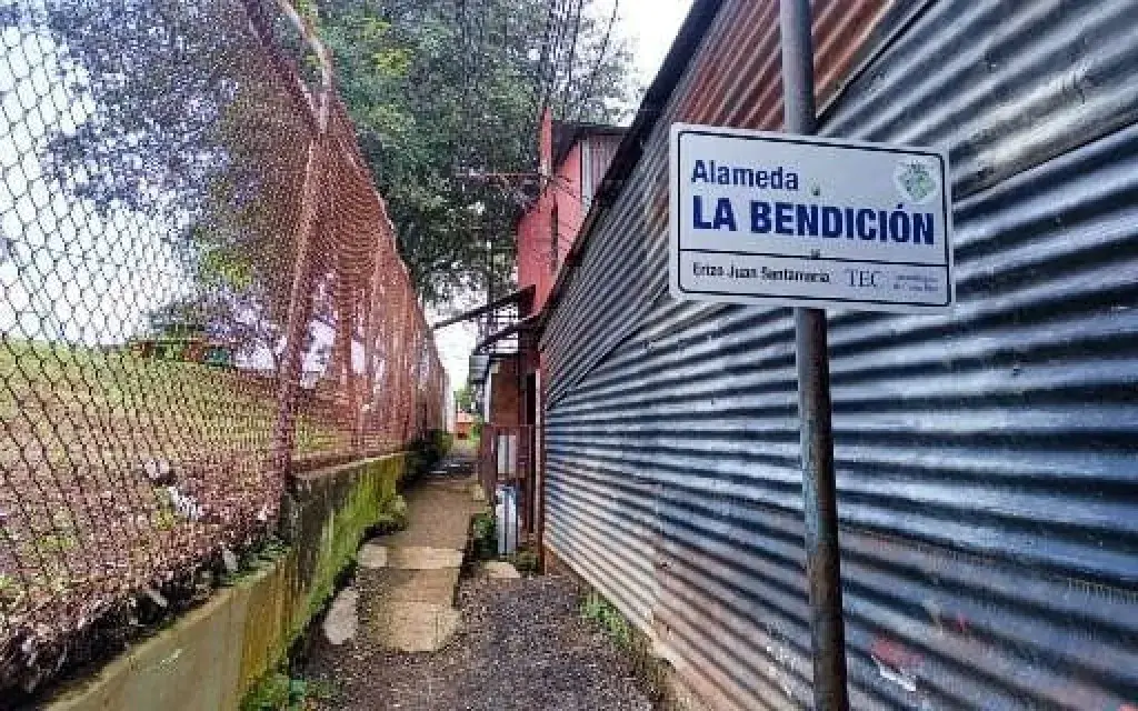 Proyecto del Erizo Juan Santamaría