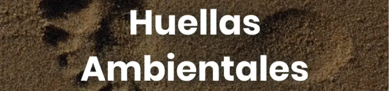 huella de una persona en la arena