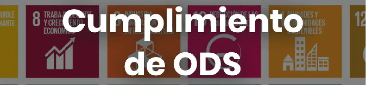 infografía con los iconos de las 17 ods