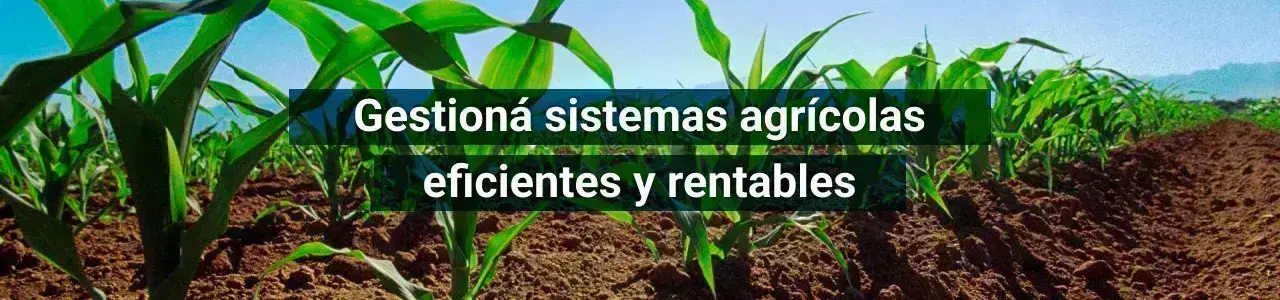 Gestioná sistemas agrícolas eficientes y rentables