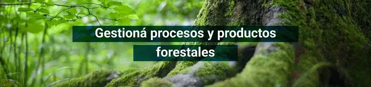 Gestioná procesos y productos forestales