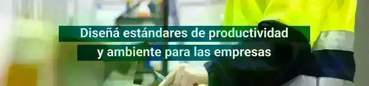 Diseñá estándares de productividad y ambiente para empresas