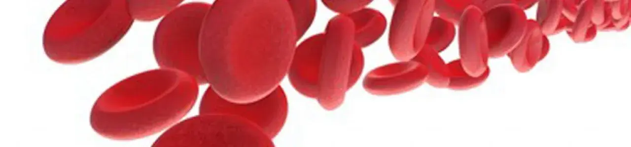 globulos rojos