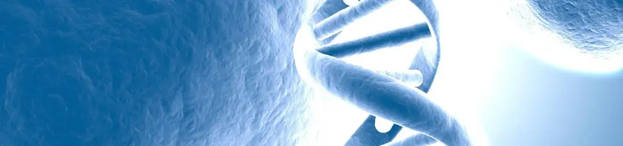 Simulación de ADN